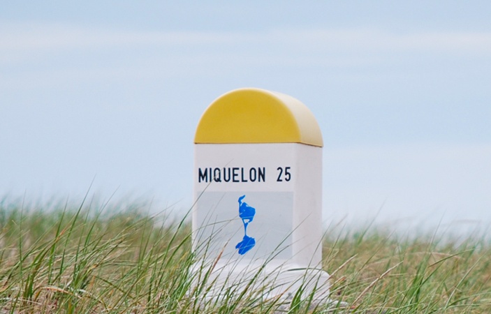 Vie de Runner Au galop en image