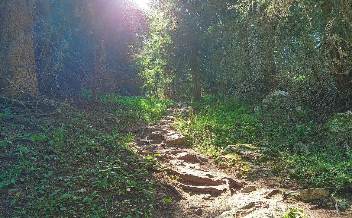 Vie de Runner Si j'étais chasseur... en image