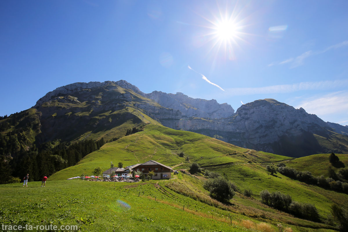 Vie de Runner Chatouilles de biquettes en image